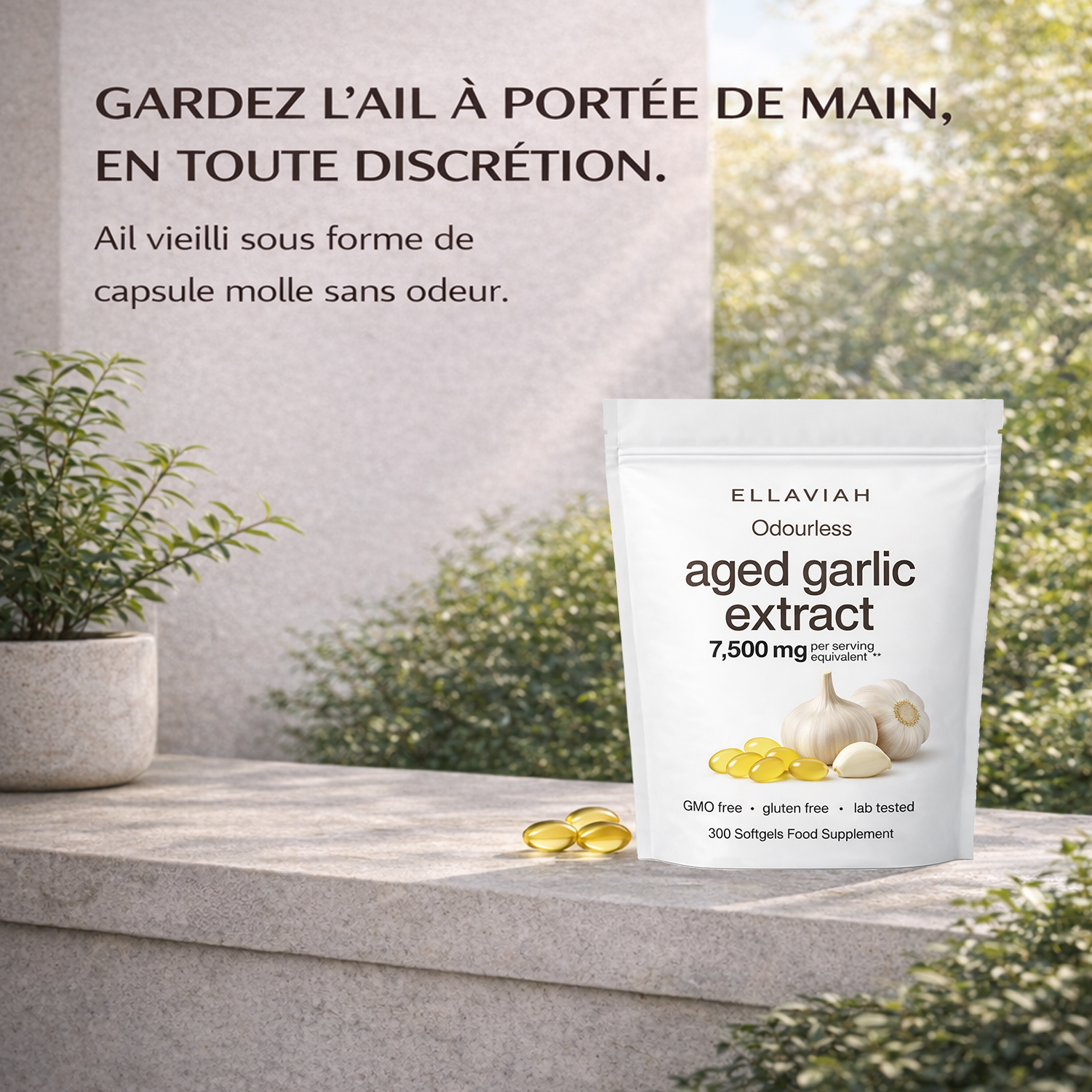 Odorless Aged Garlic Extract 500mg | 300 Softgels